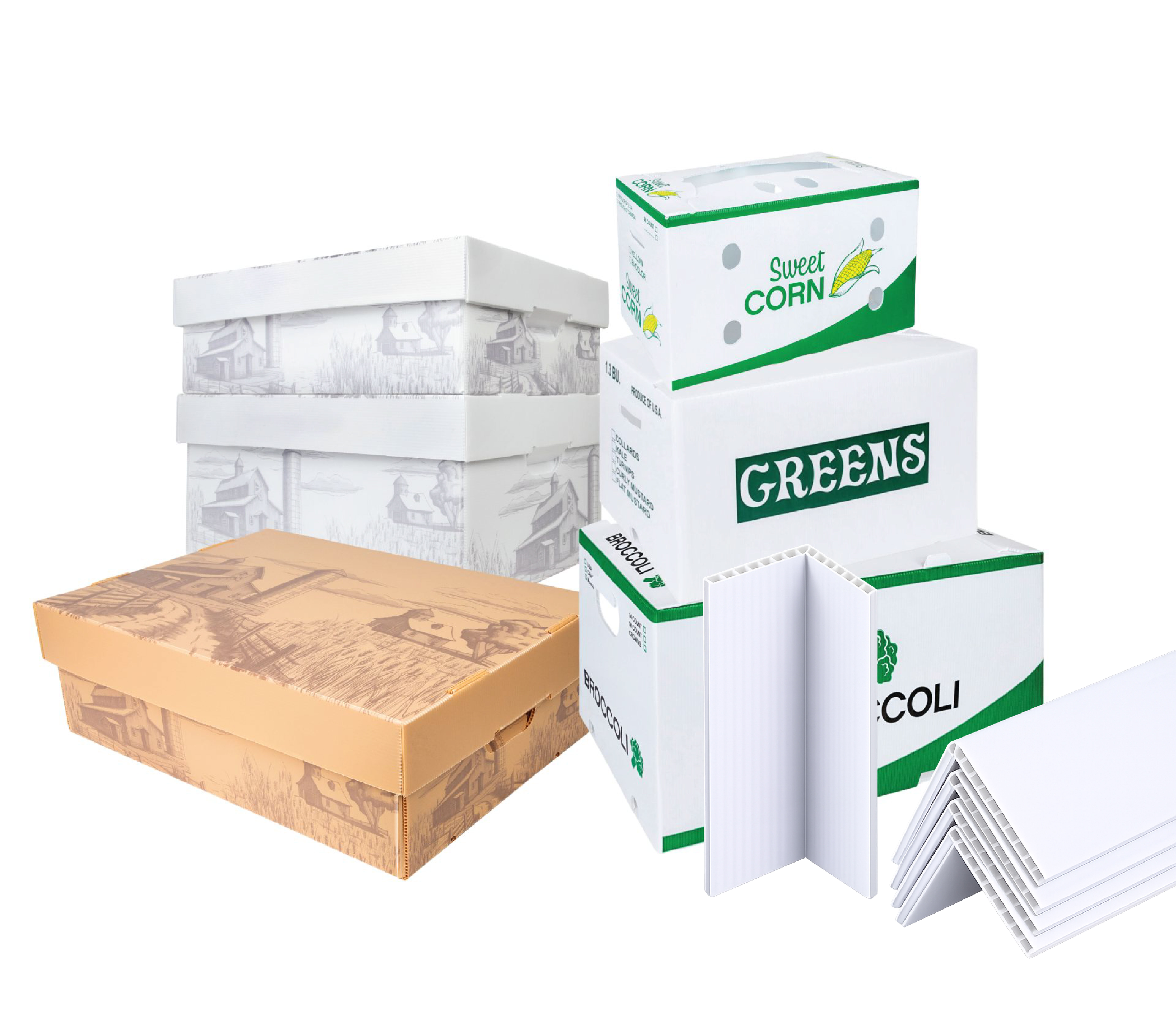 Plastic Corrugated Boxes