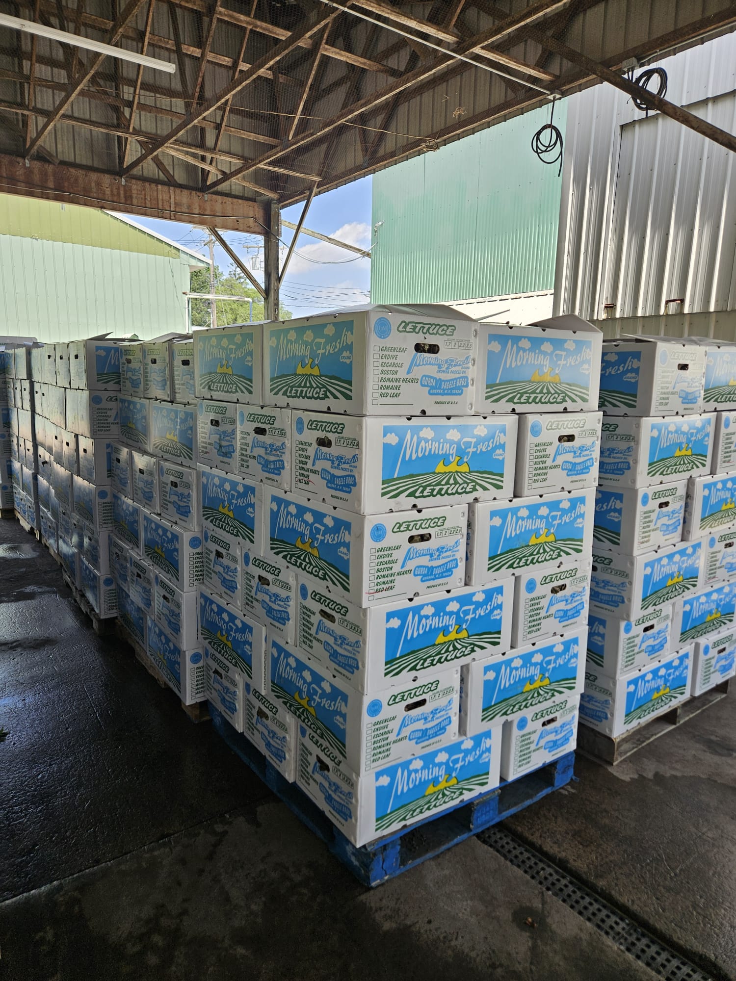 Stacked plastic corrugated boxes on pallet