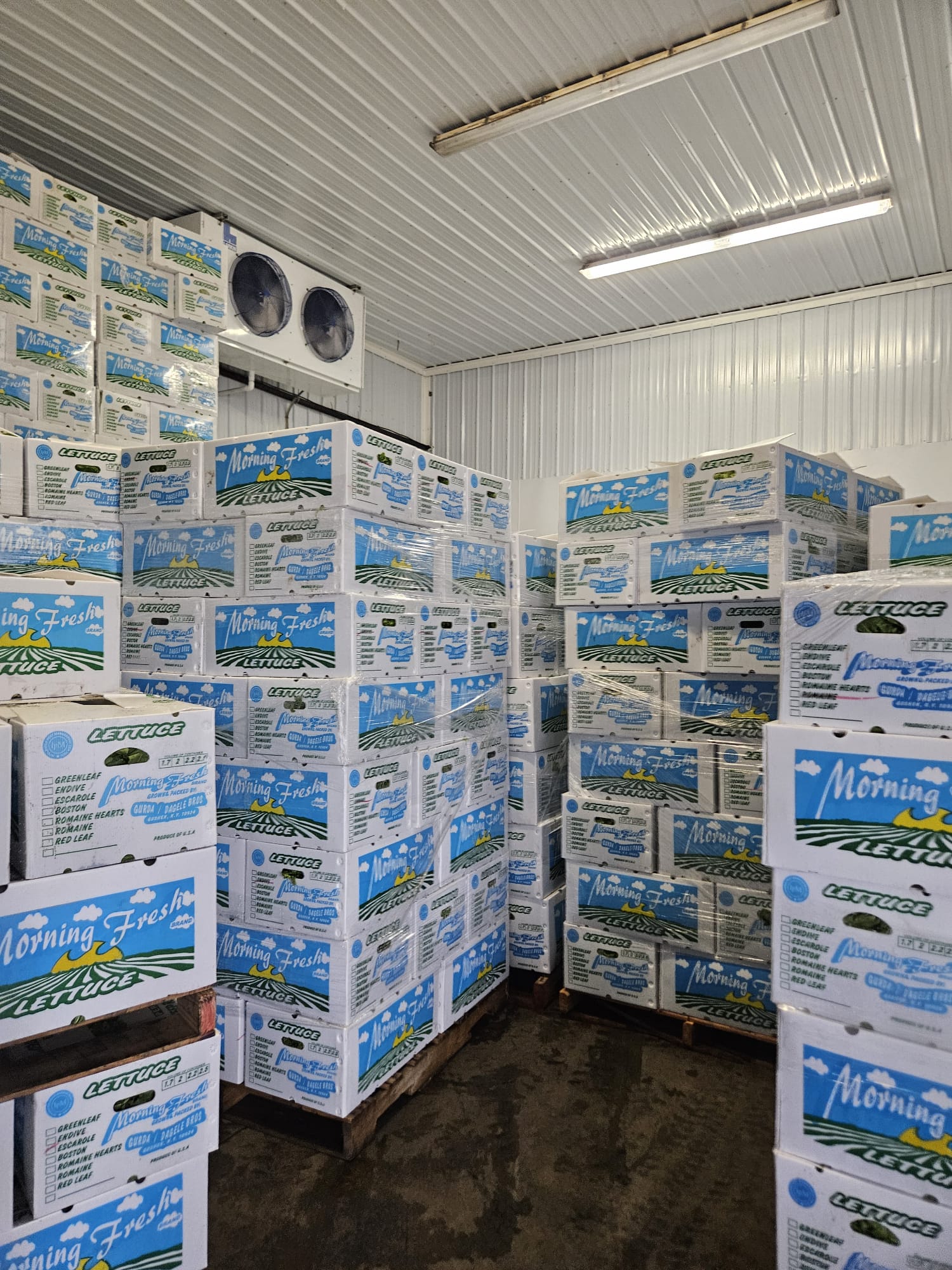 Plastic corrugated boxes stacked in warehouse