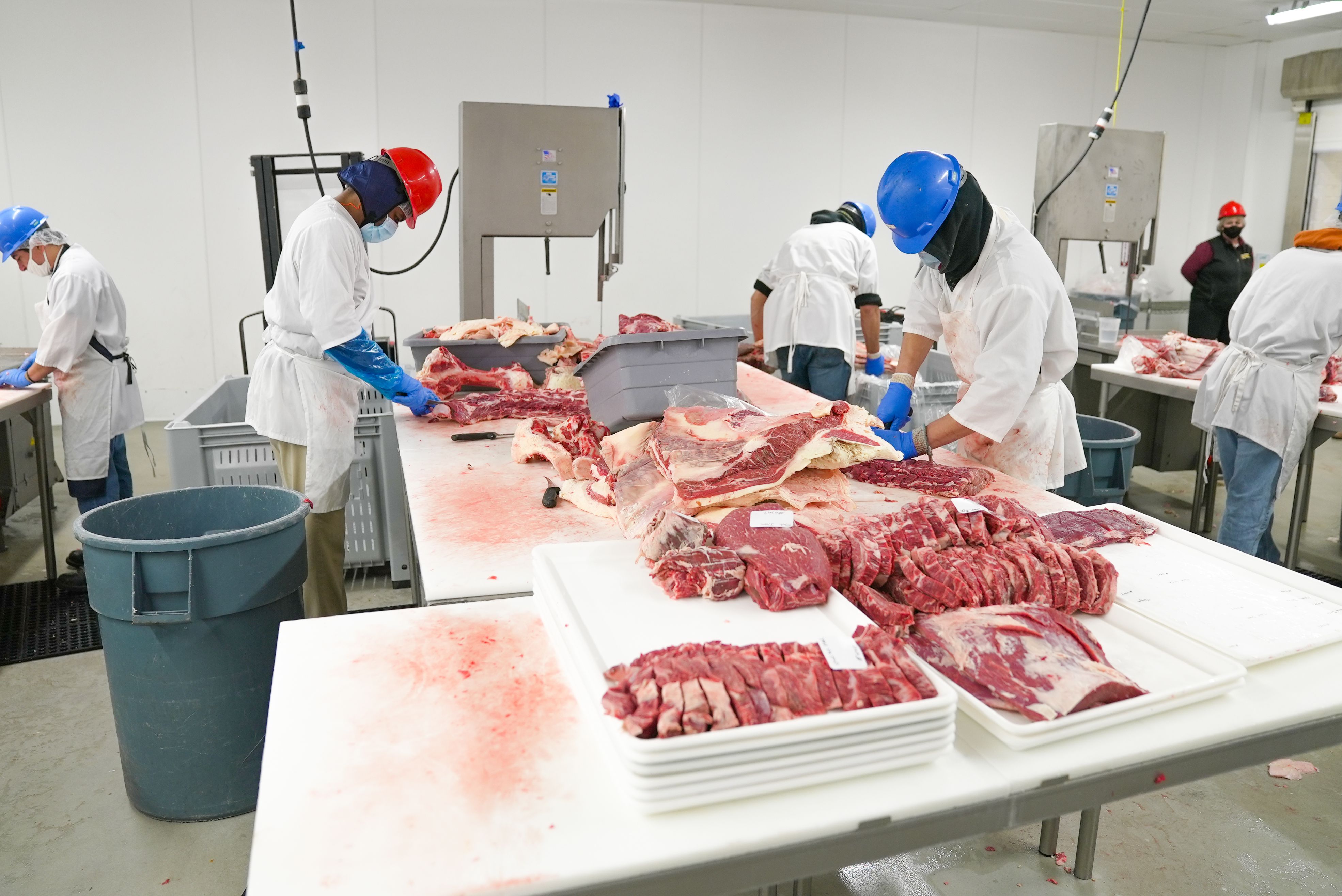 Poultry farm rows with professional lighting