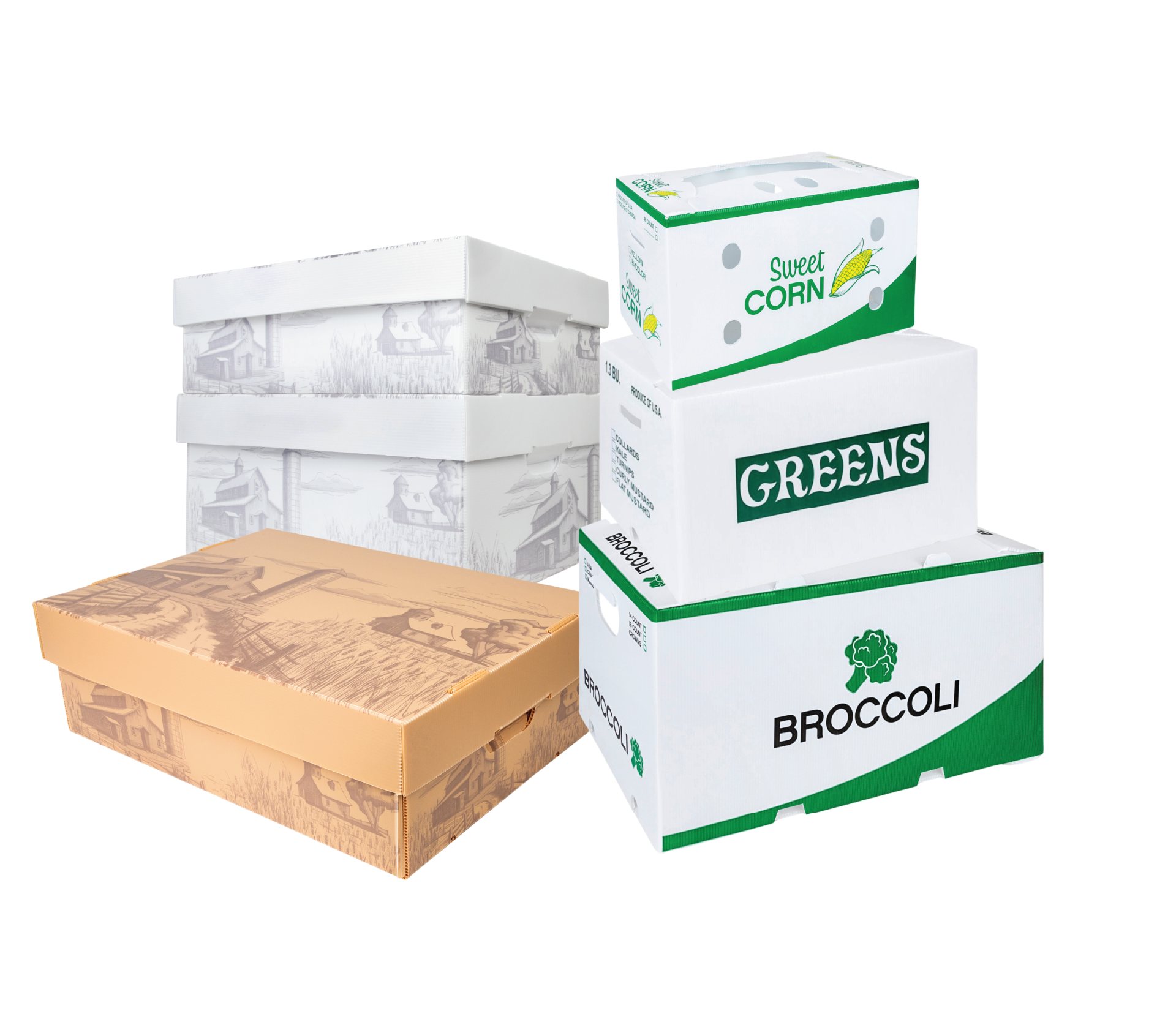 Plastic corrugated boxes stacked in a produce packing facility